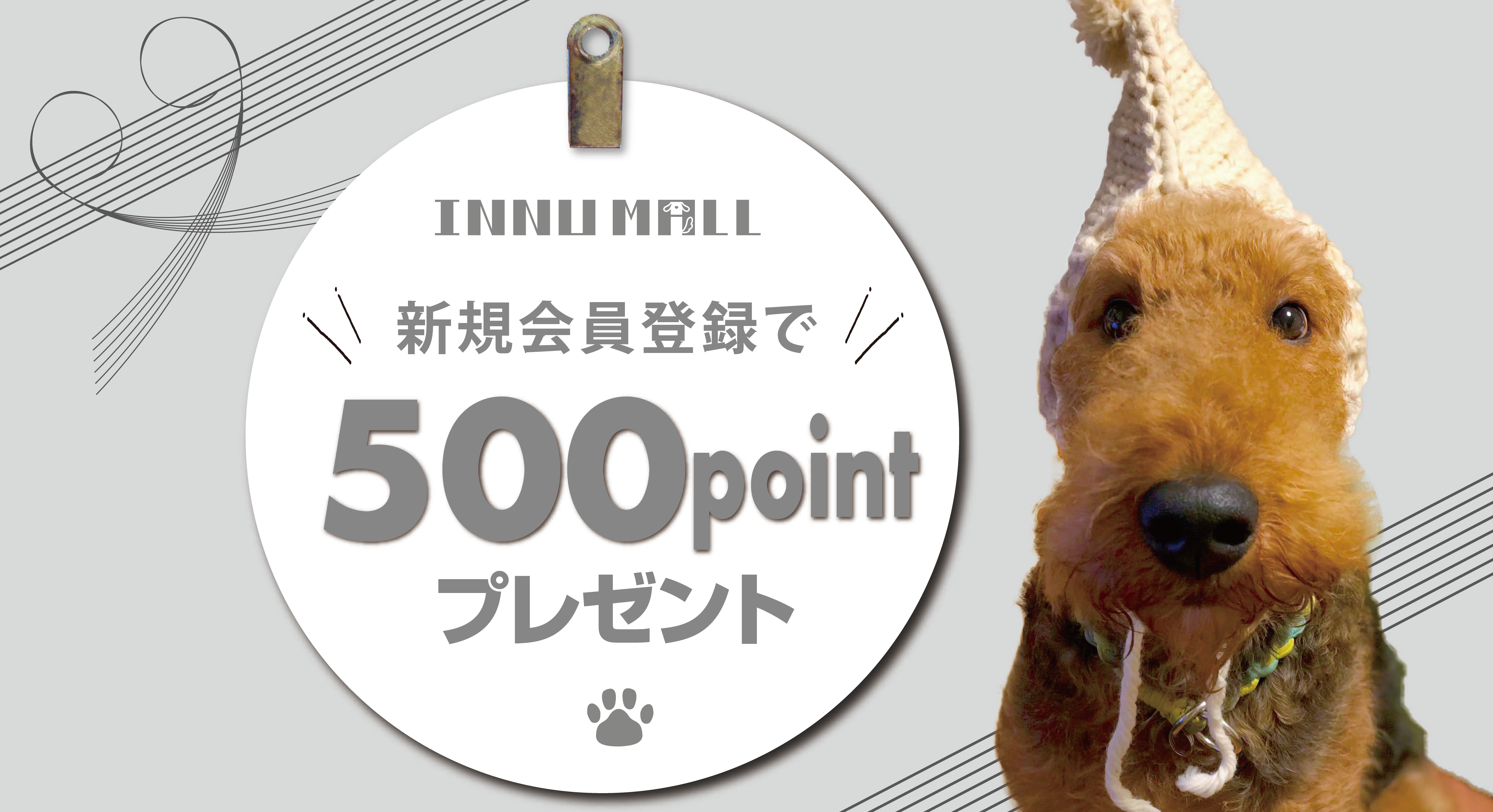 新機関員登録で500ポイントプレゼント！